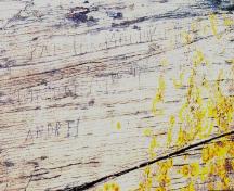 Inscriptions on Rock with 19th Century Graffiti, Blacksmith, Fermeuse, NL. ; Peter Pope 2000