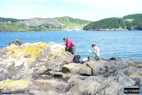 Archaeological survey of rocks in Blacksmith