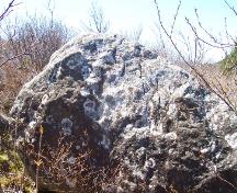 Eastern side of Rock with 17th and 18th Century Graffiti, Kingman's Cove, Fermeuse, NL. Photo taken May 2006.; HFNL/Andrea O'Brien 2006