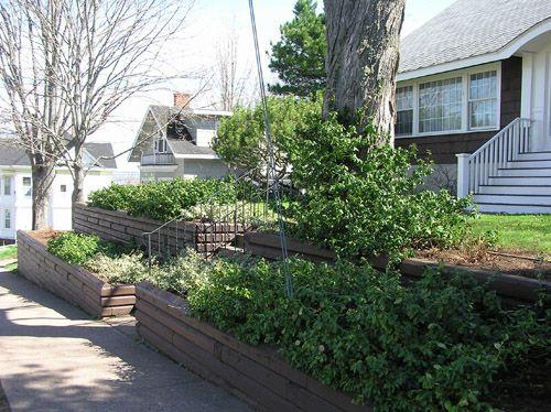 Front site detail