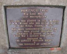 Wilson Memorial Maple Tree marker; Township of Langley, 2006