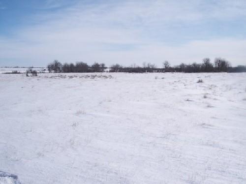 View across the field