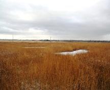 Atlantic No. 3 Wild Well Site, near Devon (December 2005); Alberta Culture and Community Spirit, Historic Resources Management Branch, 2005