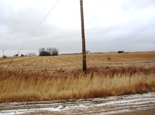 View from northwest corner of site, looking east