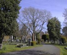 View of Ross Bay Cemetery, 2004.; City of Victoria, Liberty Walton, 2004.