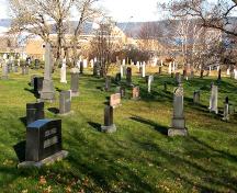 View of Riverview Cemetery from the south, showing the pattern of grave markers. ; Restigouche Regional Museum, Dalhousie