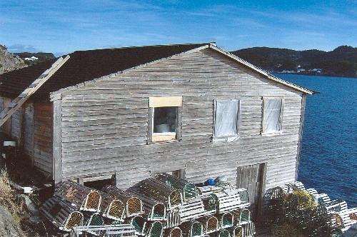 Noah Chippett Stage-Twine Loft, Leading Tickles
