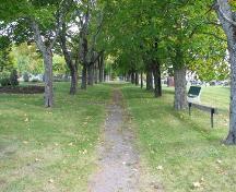 Saint-Anselme Cemetery - maple-lined lane; City of Dieppe