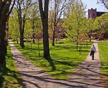 Showing view from the east; City of Charlottetown, Barb Morgan, 2007
