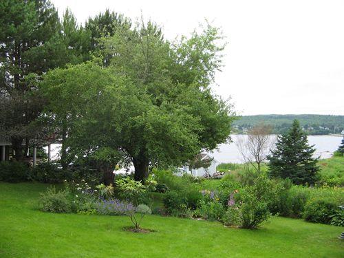 View of The Puddle from the rear of the house