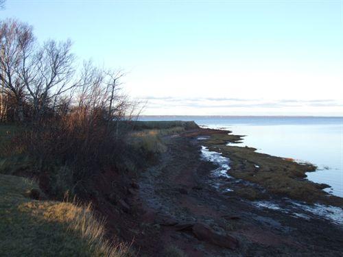 Shoreline, Tidnish Dock Provincial Park