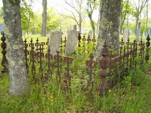 Fence detail