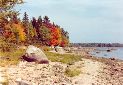 Diggity Site