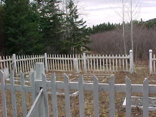 Old Catholic Cemetery, Leading Tickles, 2007