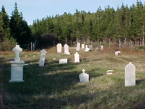 Old Anglican Cemetery, Leading Tickles, 2007