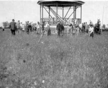 Image historique du terrain du pique-nique; Village of Rogersville
