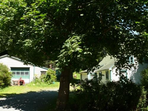 Thimble Cottage, St. John's
