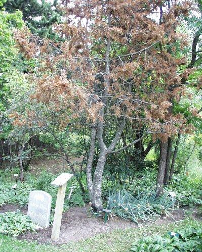 George Pegg's grave marker