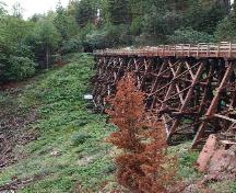 General view of a trestle bridge at the Myra Canyon Section of the Kettle Valley Railway National Historic Site of Canada, 2004.; Agence Parcs Canada / Parks Canada Agency, HRS 1131, 2004.