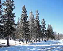 Contextual view, from the northeast, of Dominion City Cemetery, Dominion City, 2007; Historic Resources Branch, Manitoba Culture, Heritage, Tourism and Sport, 2007