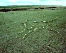 View of rock outline in form of a bison, 1992.; Government of Saskatchewan, Frank Korvemaker, 1992.