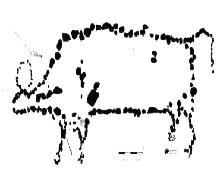Plan drawing of bison effigy, including rocks that represent internal organs..; Government of Saskatchewan, 1964.