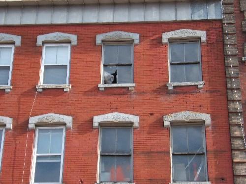 Gilmour Building - Upper storeys