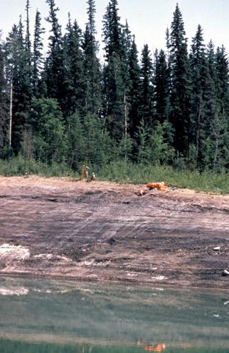 Survey of south side of burrow pit