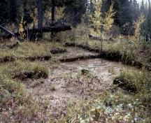Beaver River Quarry Archaeological Site Provincial Historic Resource, near Fort MacKay (date unknown); Alberta Culture and Community Spirit - Royal Alberta Museum, date unknown