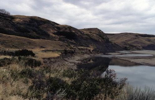 View looking upstream, site to the left