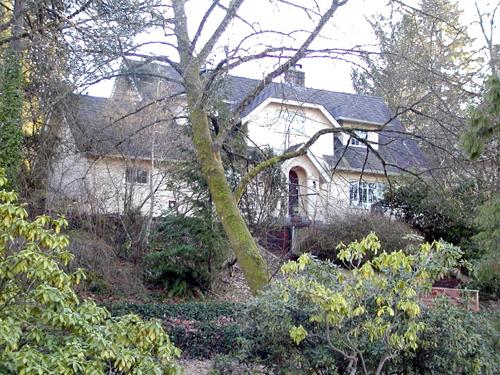 Looking south uphill to house.