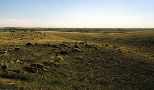 General view of site