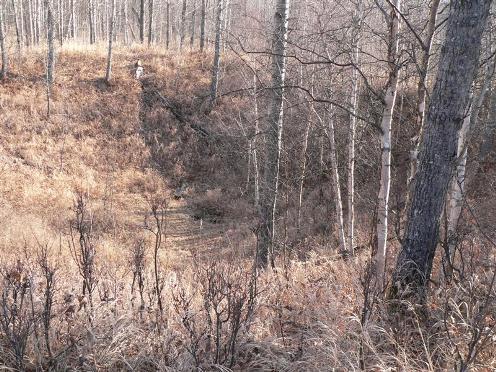 Looking down into the crater