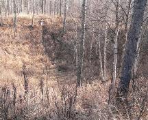 Whitecourt / Woodlands Meteorite Impact Crater (2007); Alberta Culture and Community Spirit, Historic Resources Management Branch