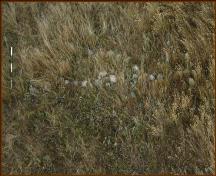 Ward Effigy Archaeological Site, near Cluny; Alberta Culture and Community Spirit, Historic Resources Management Branch