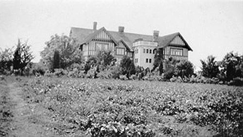 View from north