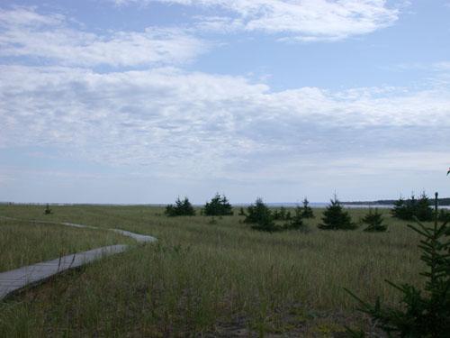 Vue dégagée sur la baie des Chaleurs