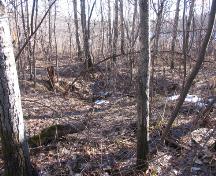 Buffalo Lake Metis Settlement (November 2004); Alberta Culture and Community Spirit, 2004