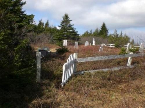 Salvation Army Cemetery, Arnold's Cove, NL, 2008