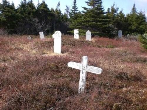 Salvation Army Cemetery, Arnold's Cove, NL, 2008