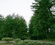 Green Timbers Inaugural Plantation, 2004; Donald Luxton and Associates, 2004