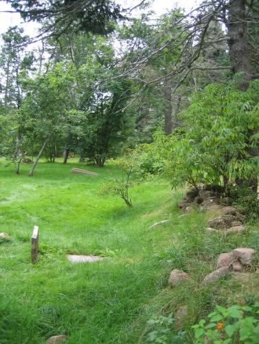 Showing stone dyke on the right