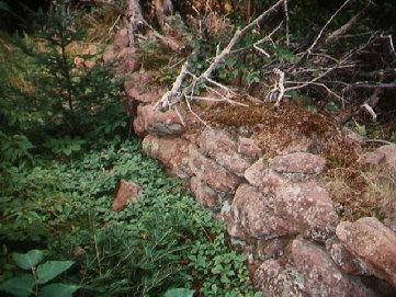 Showing stone fence
