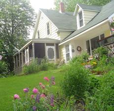 Showing house in summer