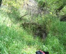 View northeast at structural remains of cabin on wooded river bank, 2004.; Government of Saskatchewan, Marvin Thomas, 2004.