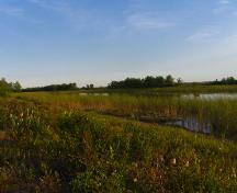 Vue globale du site près de l'eau; Province of NB - Heritage Branch