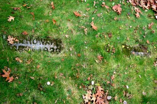 York County Municipal Home Cemetery