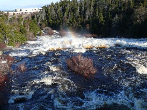 View of Manuels River, looking downstream