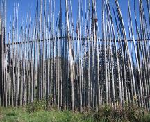 Détail du site archéologique Droulers-Tsiionhiakwatha; Ministère de la Culture, des Communications et de la Condition féminine, Jean-François Rodrigue, 2007