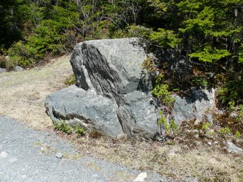 Sittin' Rock, New Perlican, NL